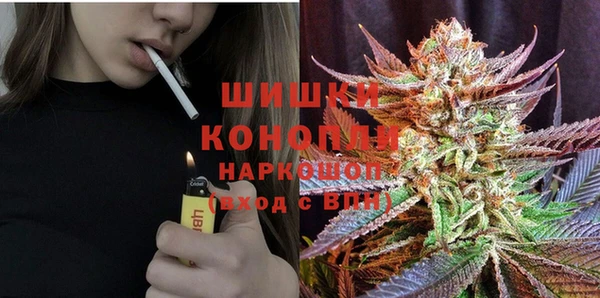 гидра Балахна